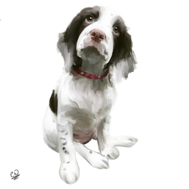 Rosie (Simple)