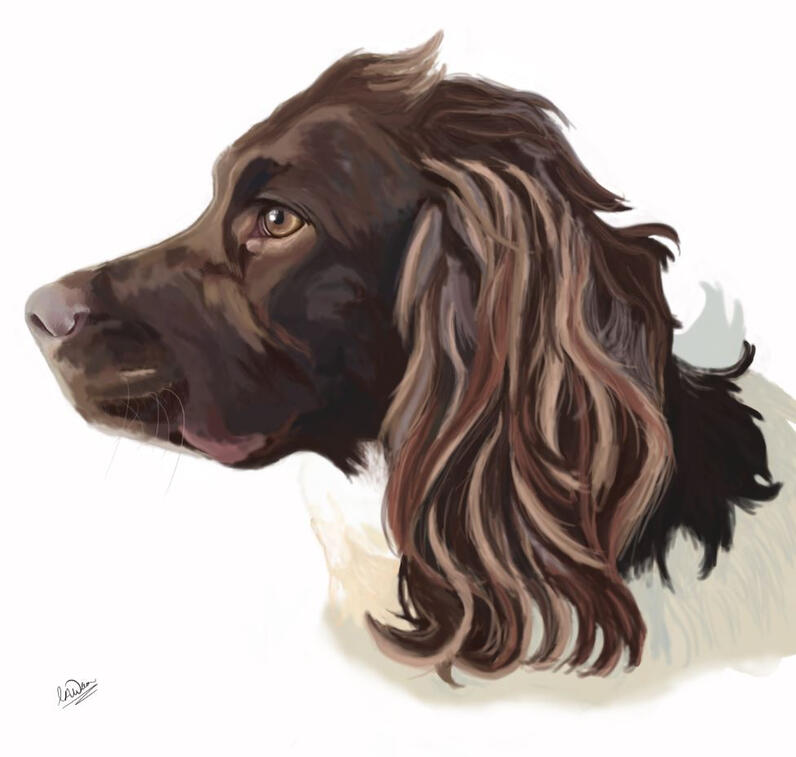 Painted (Simple) Bracks