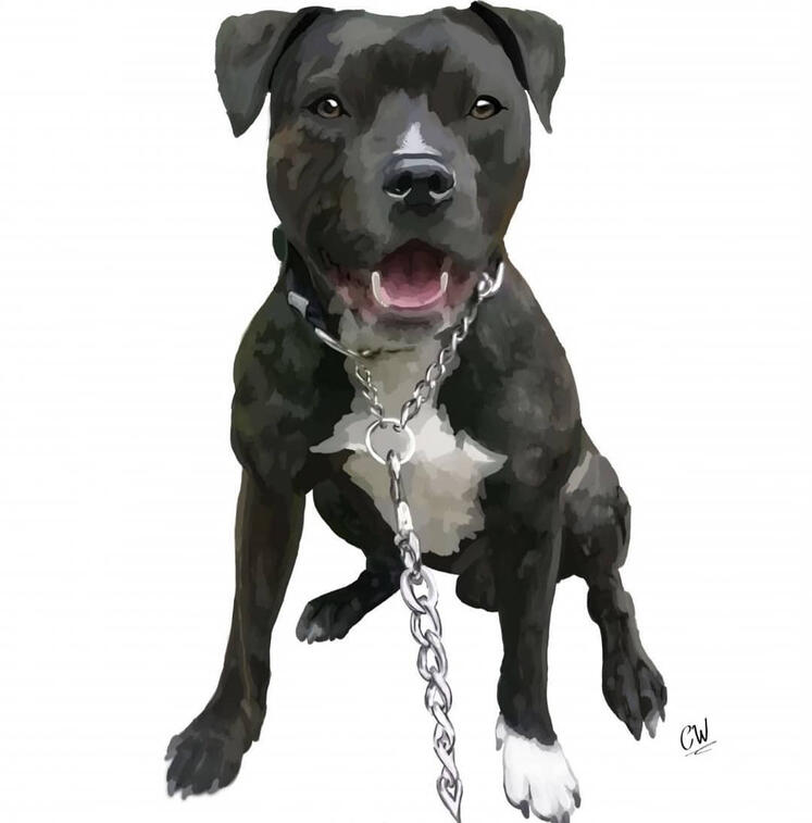 Buster (Simple)