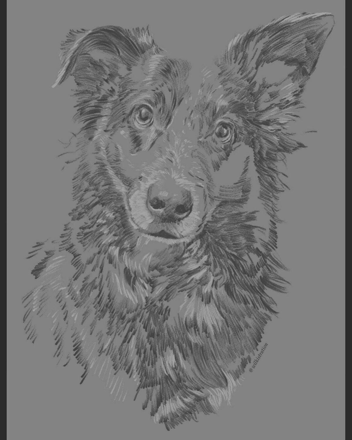 Sketch Portrait (Simple)