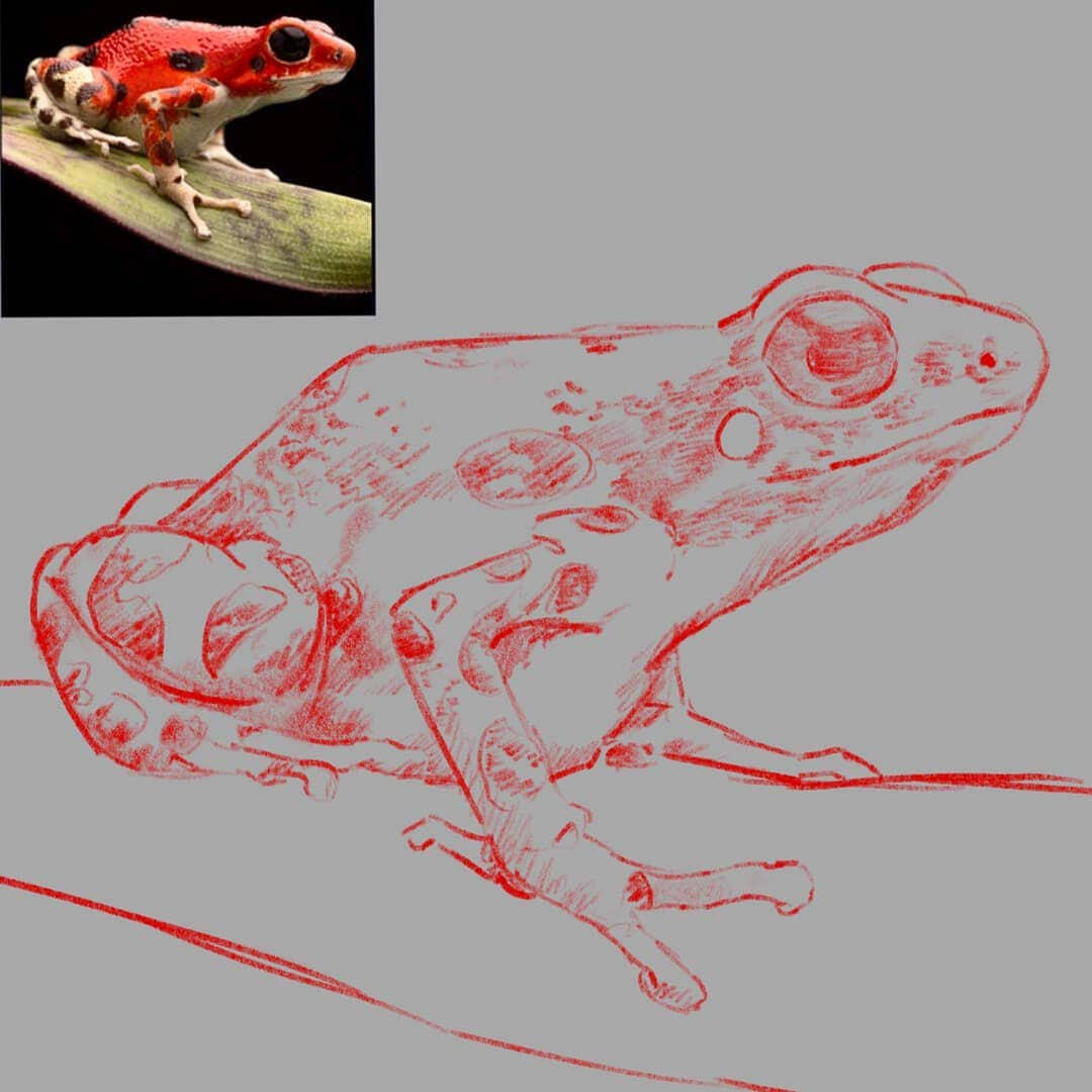 Sketch Portrait (Simple)