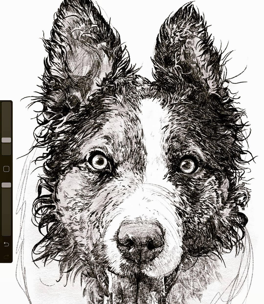 Sketch Portrait (Simple)