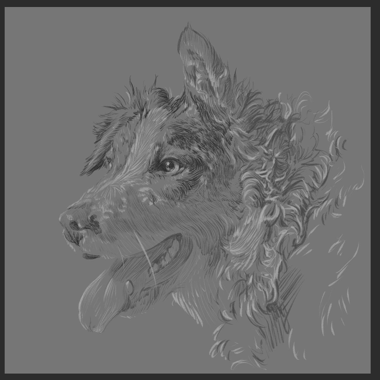 Sketch Portrait (Simple)