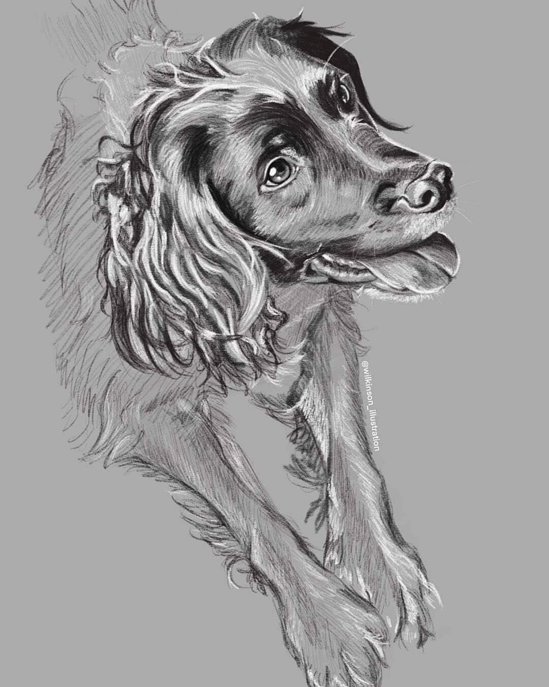 Sketch Portrait (Simple)